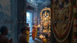 Tirupati Balaji Darshan Full Experience 2026