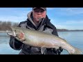 Early Spring Rainbow Trout - Lower Niagara River