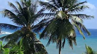 Dominica Island