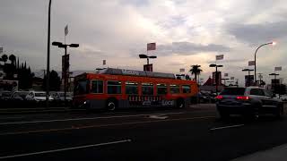LACMTA 2001 New Flyer C40LF #5335