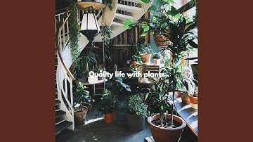 Sprightly Music for Reading Moves