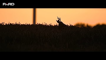 Explore the World with PARD thermal imaging and night vision | Enjoy the Outdoor exploration.