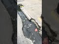 Denunciando un agujero con aguas residuales en la avenida Venezuela  parte 2