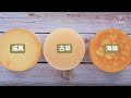 分不清戚风蛋糕，古早味蛋糕，海绵蛋糕❓ 几分钟讲明白｜ Chiffon cake vs Castella Cake vs Sponge cake,  which is the BEST｜ 萨姐