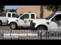 Code Enforcement Bite Prevention with Sit Means Sit Dog Training Code Enforcement Bite Prevention with Sit Means Sit Dog Training