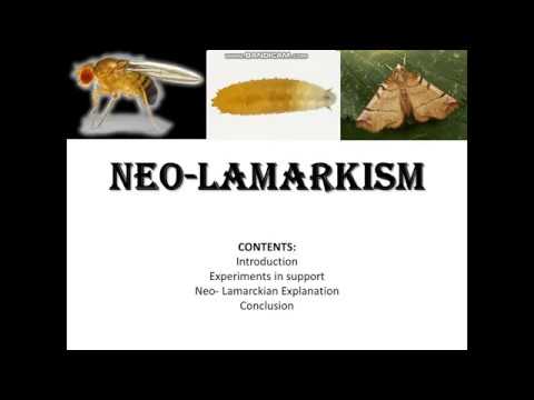 NEO LAMARCKISM