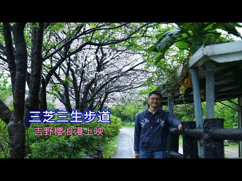 [台北自由行攻略] 教你在淡水捷運站搭公車到三芝三生步道，大雨下的櫻花別有一番情境！
