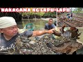 NANIMA NG SIMILYA NG MIDYAD AT KITANG + NAKAGAMA SI PAPA NG LAPU-LAPU | NAGTANIM AKO NG KAMATIS