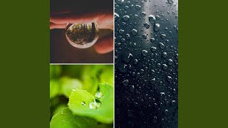 Fashionable Music for Rain Moods