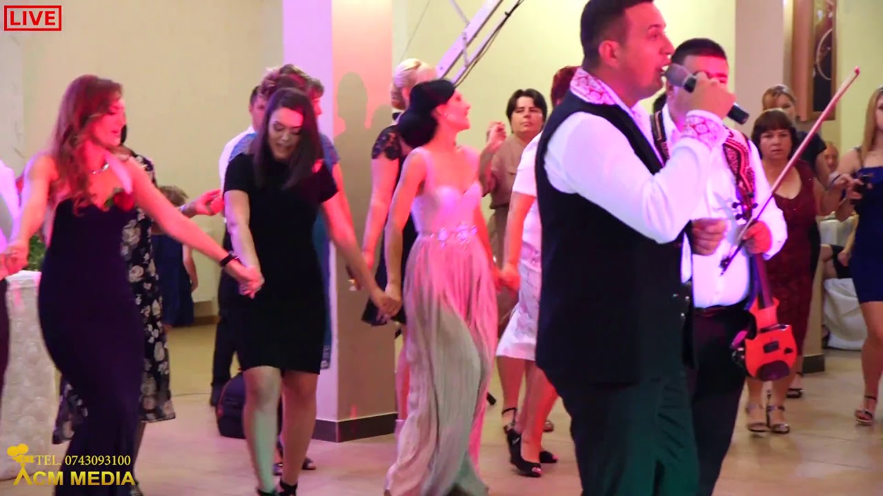 Dumitru Vasilescu & Lăutarii Gorjului hore și sârbe (cover)