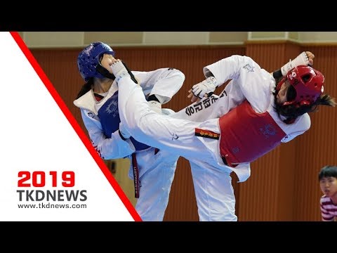 제30회 대전광역시 교육감기태권도대회 하이라이트