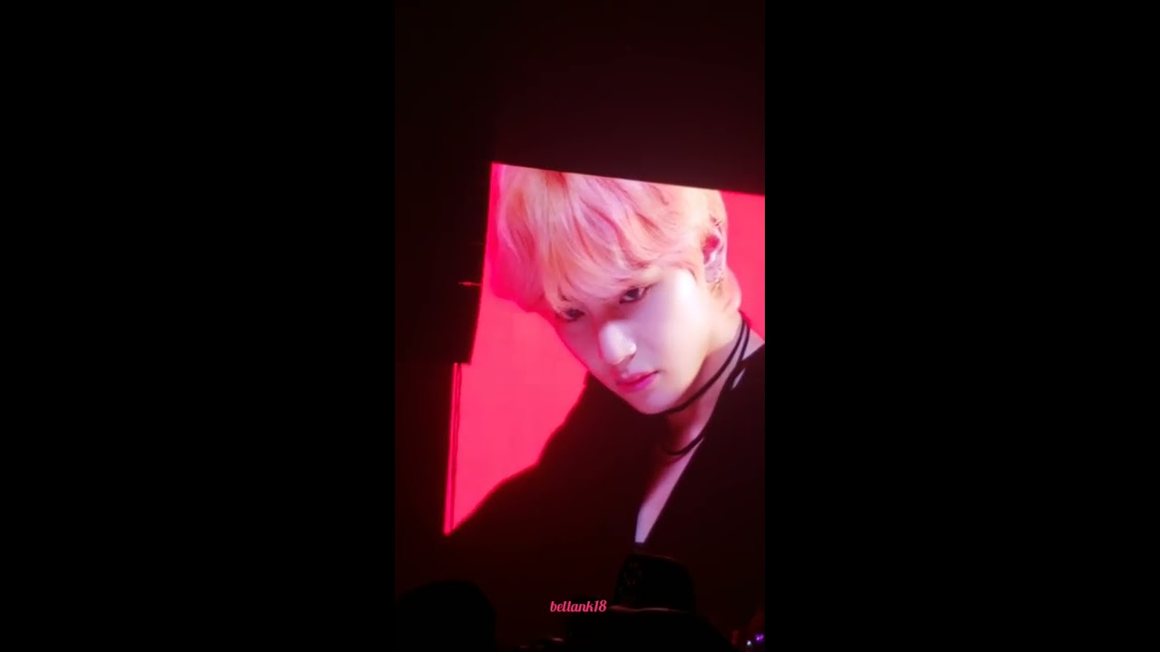 180929 (VCR+V Solo: Singularity) - BTS 'Love Yourself' Tour Newark Day 2
