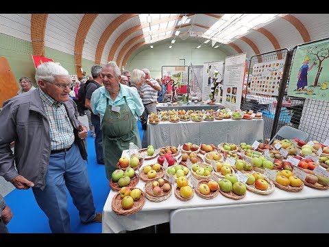 Fête de la pomme de Dompierre-sur-Mer