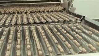 Maplelife Canada Corporate Video 2011