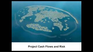Project Cash Flows and Risk