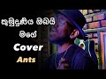 Kumuduniya Obai Mage (කුමුදුණිය ඔබයි මගේ) Cover by Ants