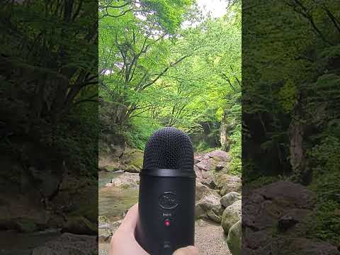 【癒し / 自然音】 那須 川の音 River Sound Forest #asmr #outdoors #sleep #shorts