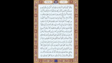 تلاوت روزانه قرآن با ترجمه تصویری – سوره بقره – صفحه 21 | Quran Kareem