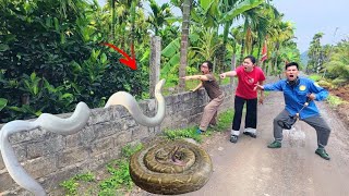 Brave soldiers used high-tech snake detectors to locate the giant python's nest.