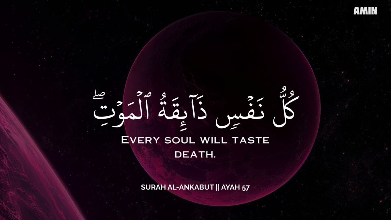 أرح سمعك.. تلاوة هادئة تريح القلب والعقل💛😴 | ساعة كاملة🕛🎧 القارئ محمد هشام | Mohamed Hesham