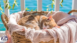 видео: Расслабляющая музыка для кошек, борющихся с тревогой. Глубокий успокаивающий звук для тревожных к... картинка: Расслабляющая музыка для кошек, борющихся с тревогой. Глубокий успокаивающий звук для тревожных к...