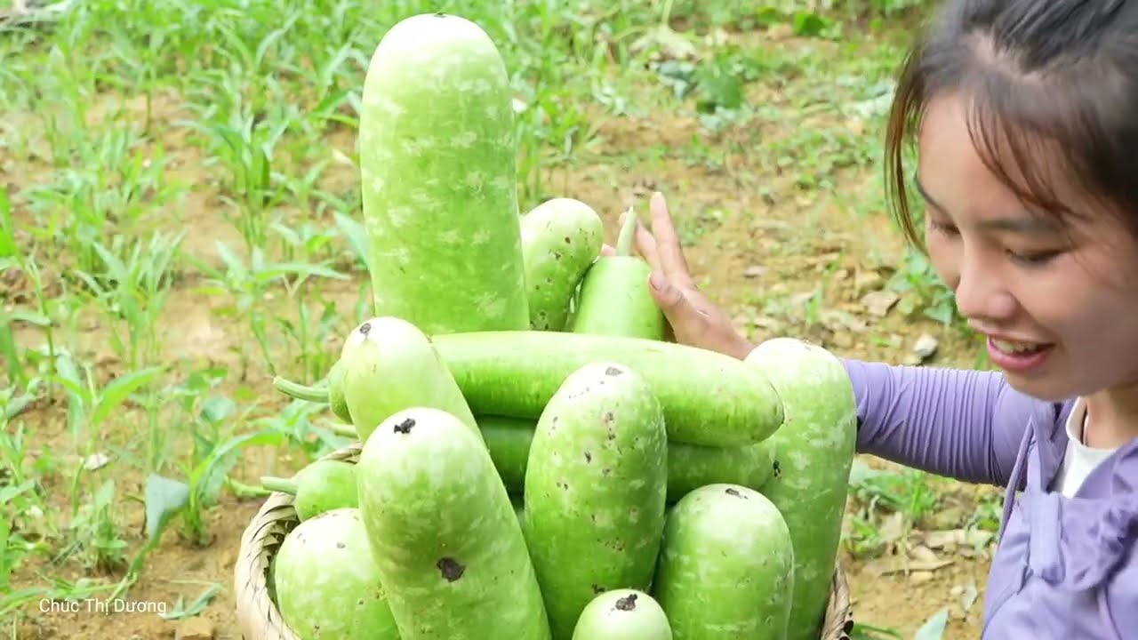 Harvesting Gourds with My Daughter and Son – Selling at the Market and Cooking Lunch for My Kids