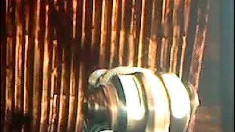 Fallout 3 - Alien Atomizer