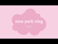 new york vlog