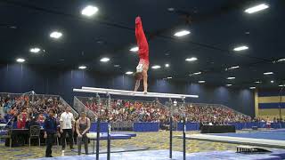 Kevin Penev - Parallel Bars - 2018 Winter Cup - Finals