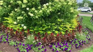 One afternoon @ d’park!canada life| May Mission