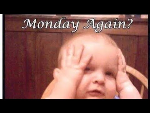 monday-morning-funny-quotes-|-monday-good-morning-whatsapp-status-video|-happy-monday-morning