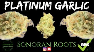 Platinum Garlic Strain Review - Sonoran Roots - Cannapedia