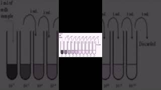 STANDARD PLATE COUNT(SPC) OF DIFFERENT MILK SAMPLES.