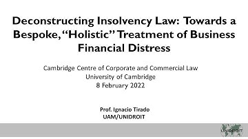 Deconstructing Insolvency Law: Towards a Bespoke Treatment of Business Financial Distress