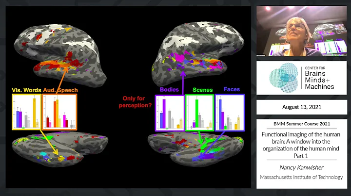 Functional imaging of the human brain: A window in...