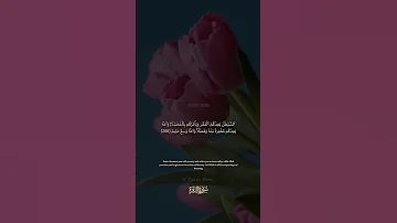 سورة البقرة الآية رقم 268 بصوت مشاري راشد العفاسي مع الترجمة الإنجليزية القران لايك اكسبلور 