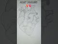 heart drawing ### by me