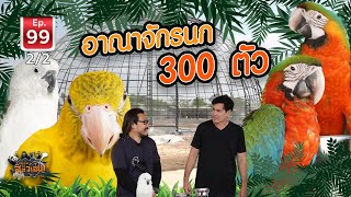 อาณาจักรนก 300 ตัว, 300 bird kingdom - เพื่อนรักสัตว์เอ๊ย EP.99 [2/2]