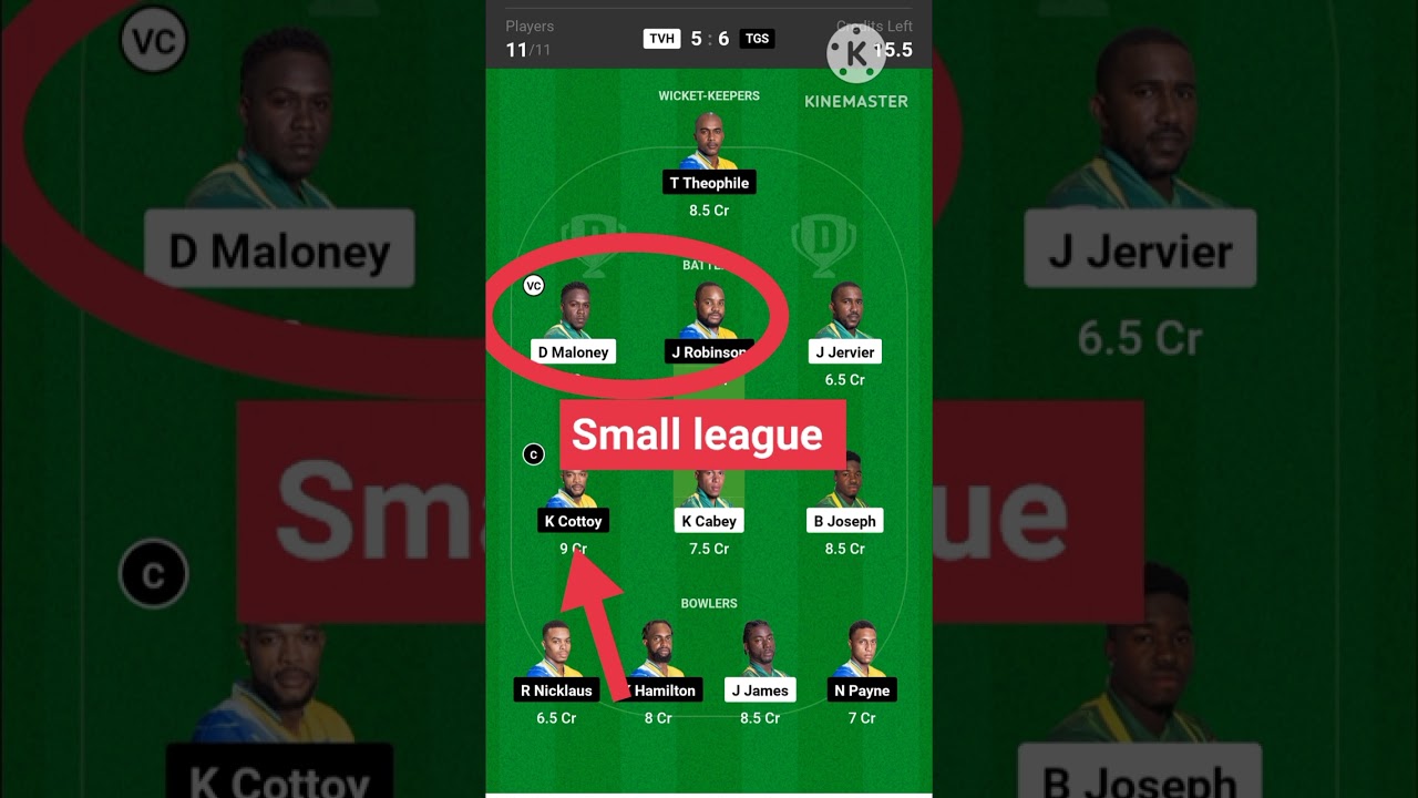 nature Isle t10 tvh vs tgs dream 11 team Prediction cricket match