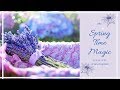 SpringTime Magic in 3 Steps (A Step By Step Guide)