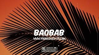 Video thumbnail of "Afrobeat Instrumental 2024 | Omah Lay X Tems X Rema Type Beat "BAOBAB" | Afro Pop Type Beat"