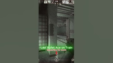 Ace with last bullet CS2