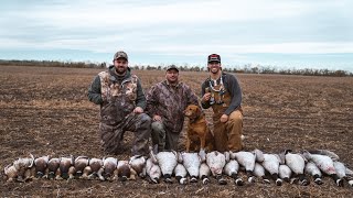 We Landed 400 MALLARDS In the Decoys!! (Tornado)