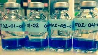 Studying Seafloor Microbes in the Lab