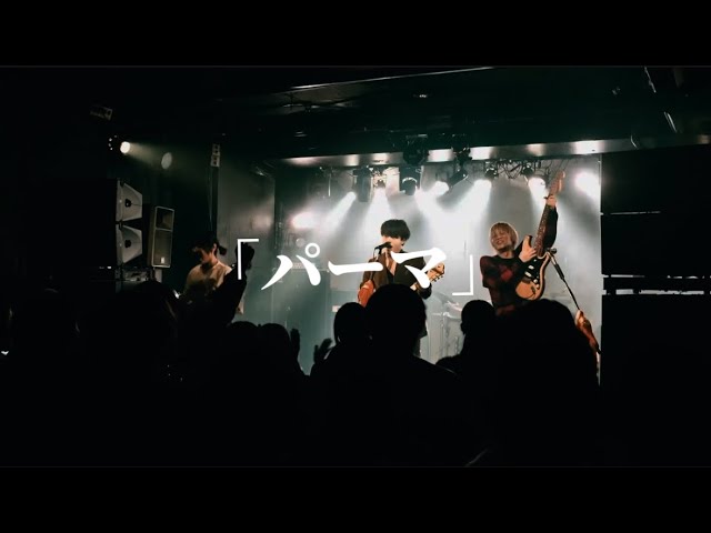 サウルス/ パーマ【Official LIVE Video】 | SAURUS ' PERM'
