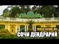 Сочинский дендрарий