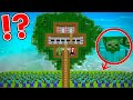 Jj and mikey built a security house inside a huge tree vs zombie apocalypse in minecraft  maizen