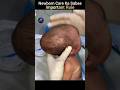 Newborn Ka Sir Itna Nazuk Kyun Hota Hai? | Newborn Care Tips 👶