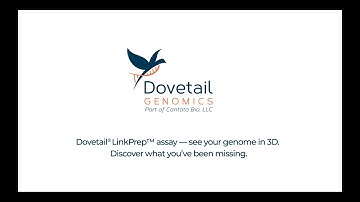 Dovetail® LinkPrep™ assay — see your genome in 3D.