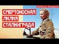 Смертоносная Лилия Сталинграда